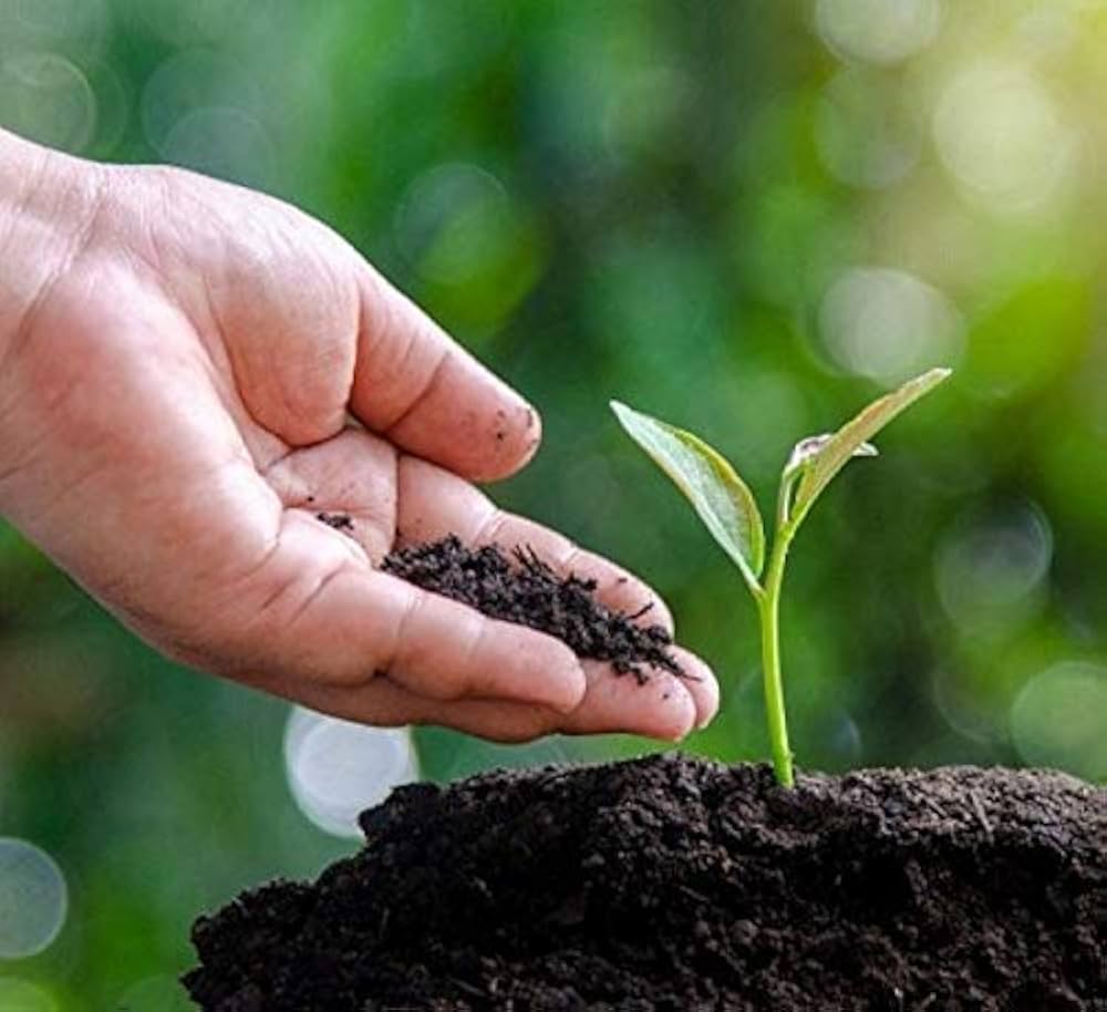 About JAI PEERA DI COW DUNG PRODUCTION